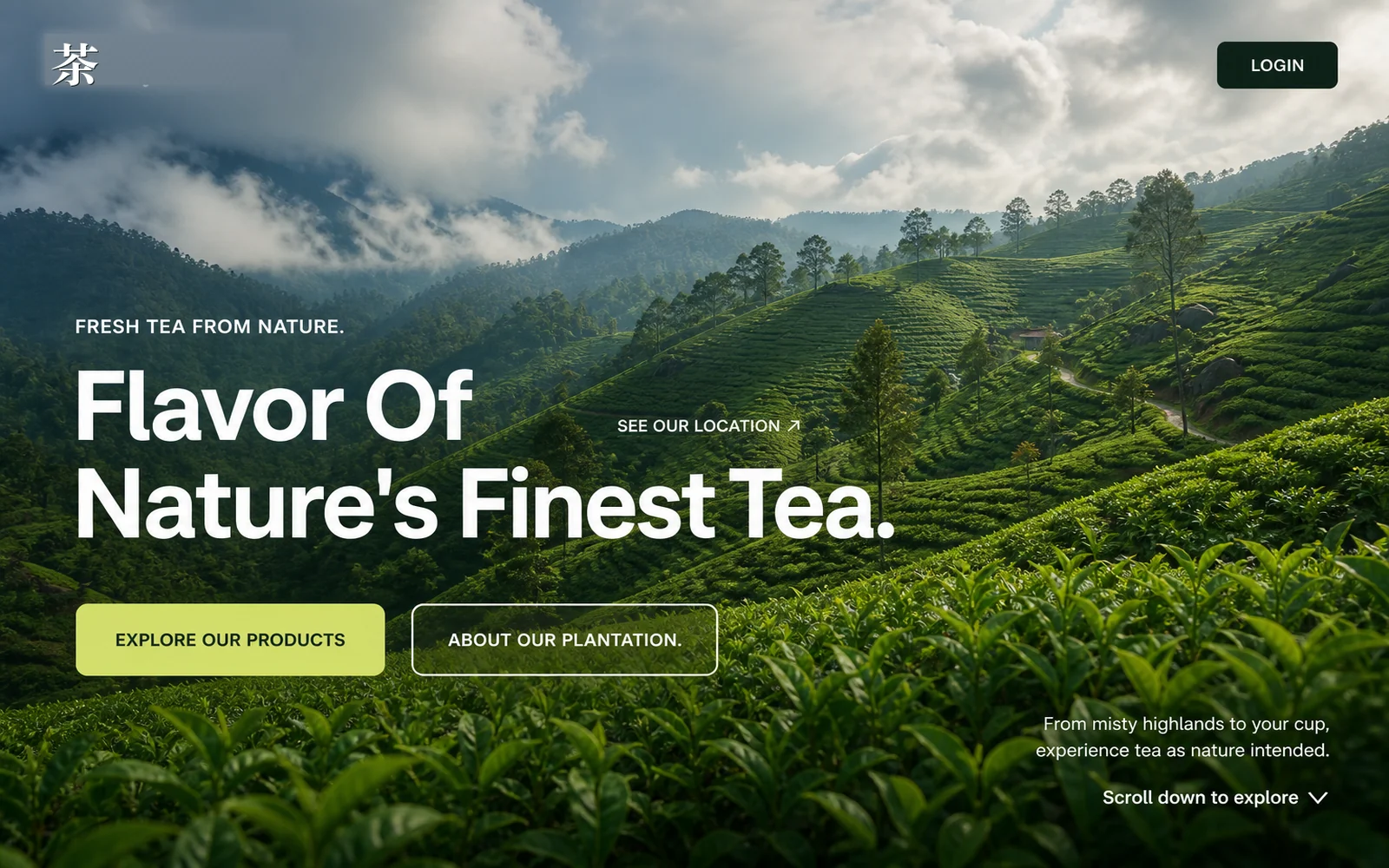 History of Tea