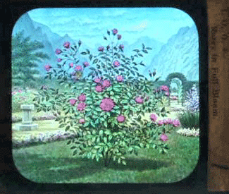 Visual Culture and Early Films figure 1