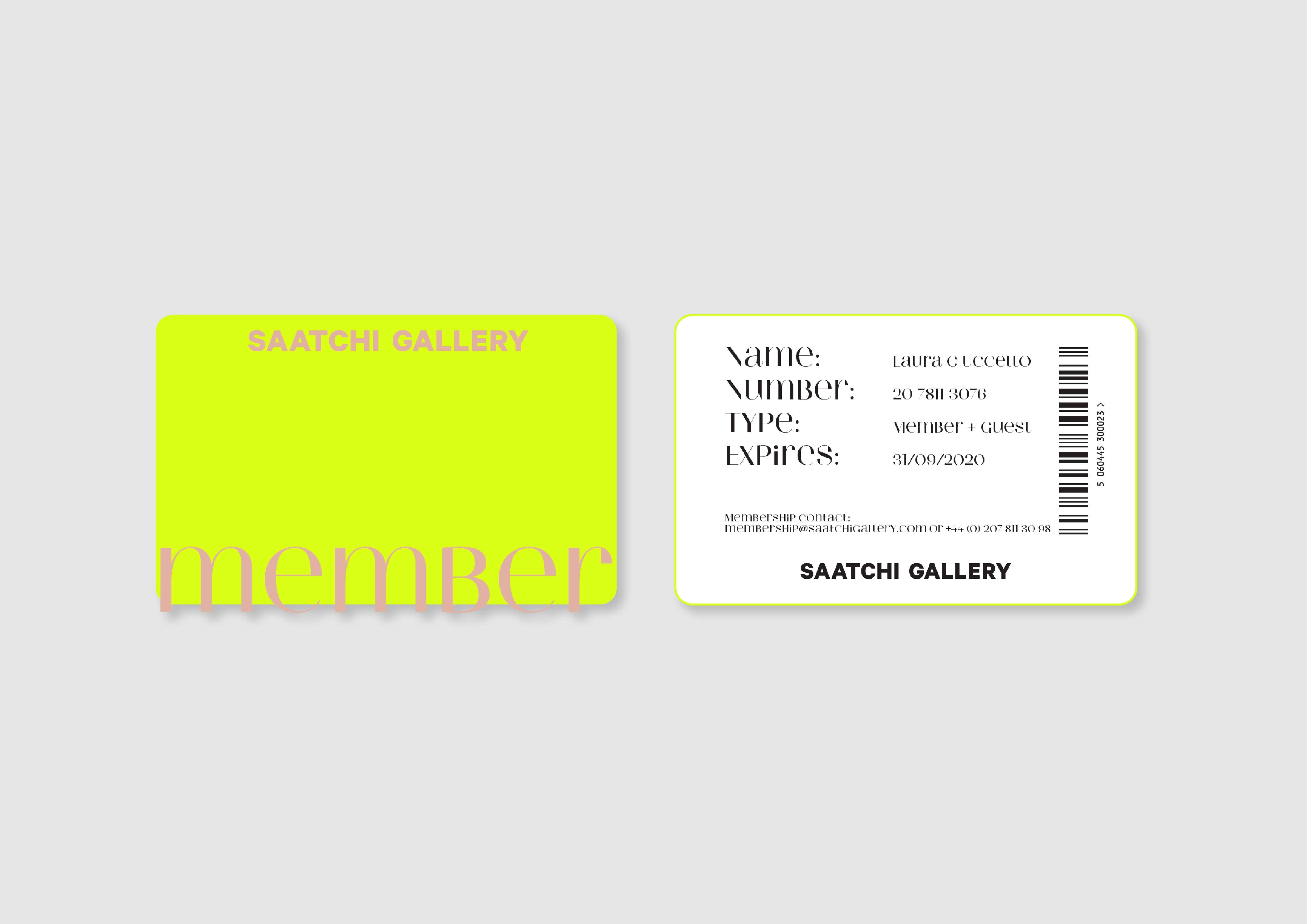 Illustration — Saatchi Gallery-7